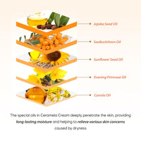 [ Flaner ] Papaya Ceramela Moisturizer Cream 1.69 fl.oz